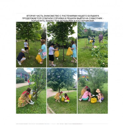 Дети продолжают знакомиться с растениями нашего большого сада !<br />Собрали сорняки и решили выйти на субботник-порыхлить землю под деревьями и кустарниками!